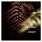 Det lettar snart - Signert 